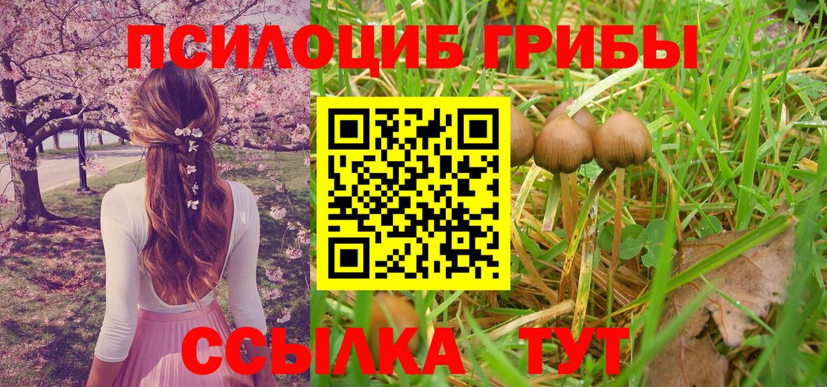 Галлюциногенные грибы Psilocybine cubensis  Вход с VPN  Кубинка 