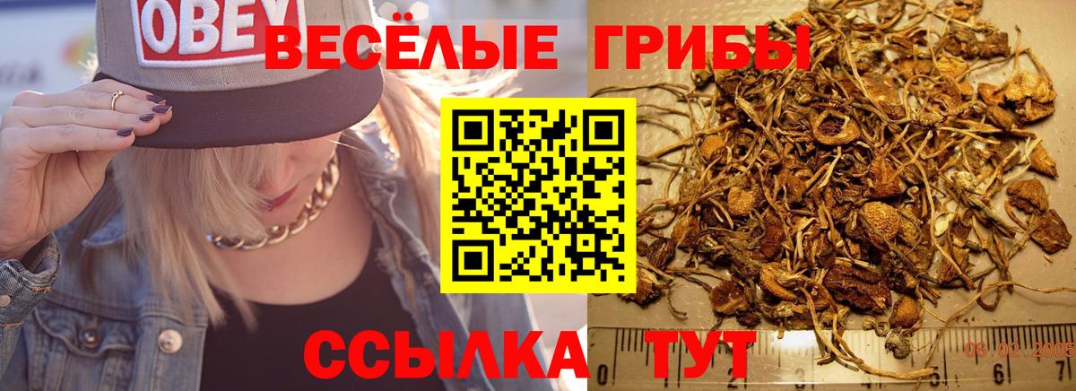Псилоцибиновые грибы Cubensis Кубинка